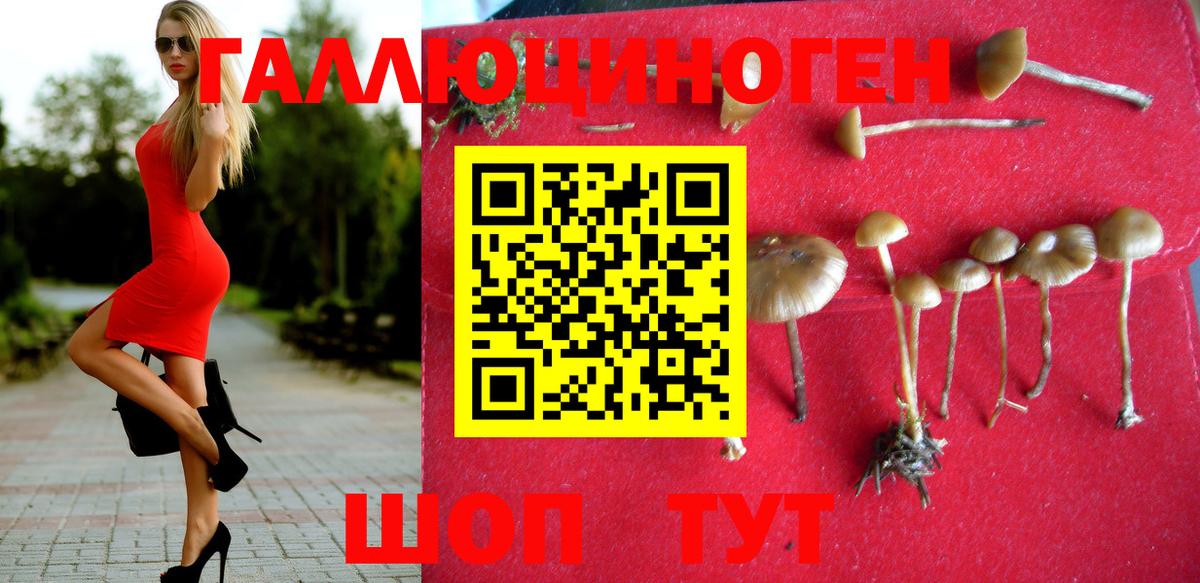 Псилоцибиновые грибы мицелий Кандалакша