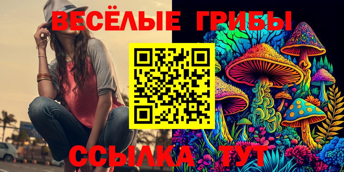 Кандалакша  Псилоцибиновые грибы Psilocybe  купить наркотик  Вход с VPN 